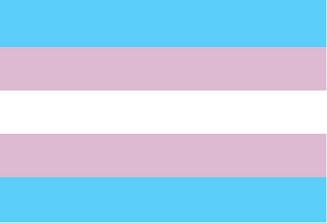 Transgender pride